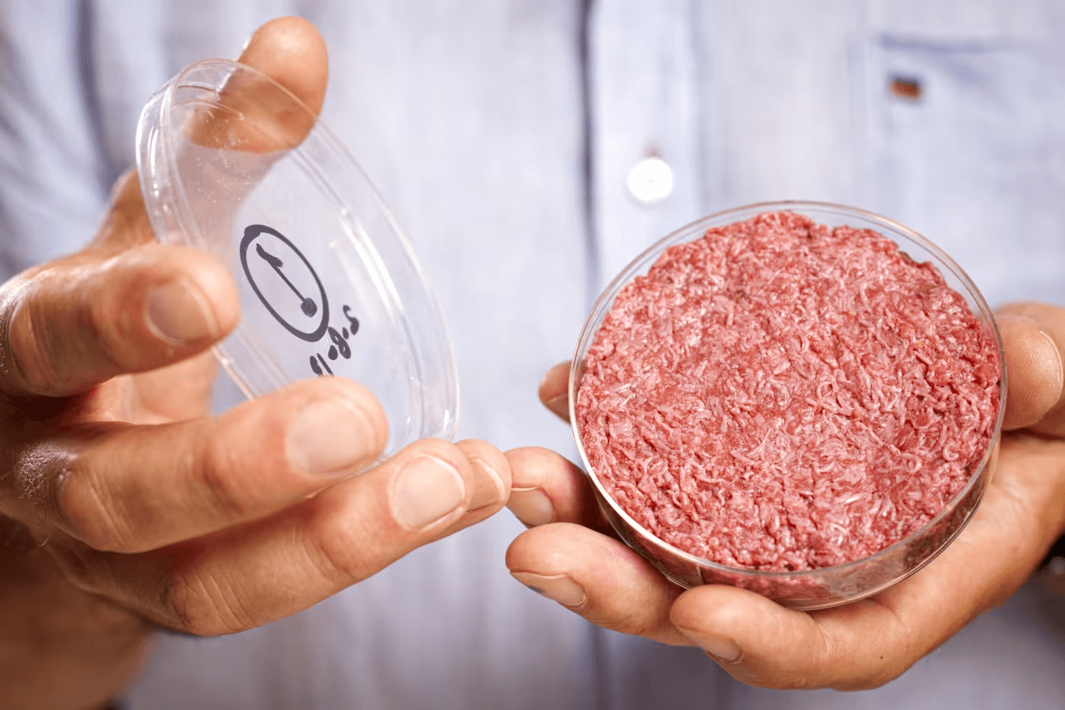 Foto de mãos segurando carne feita em laboratório